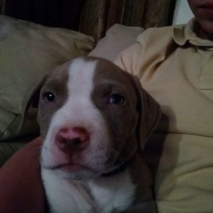 Meet your Posher, Cameron